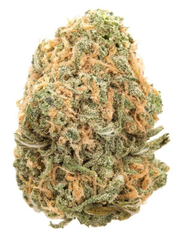 Auto Blue Dream Seeds