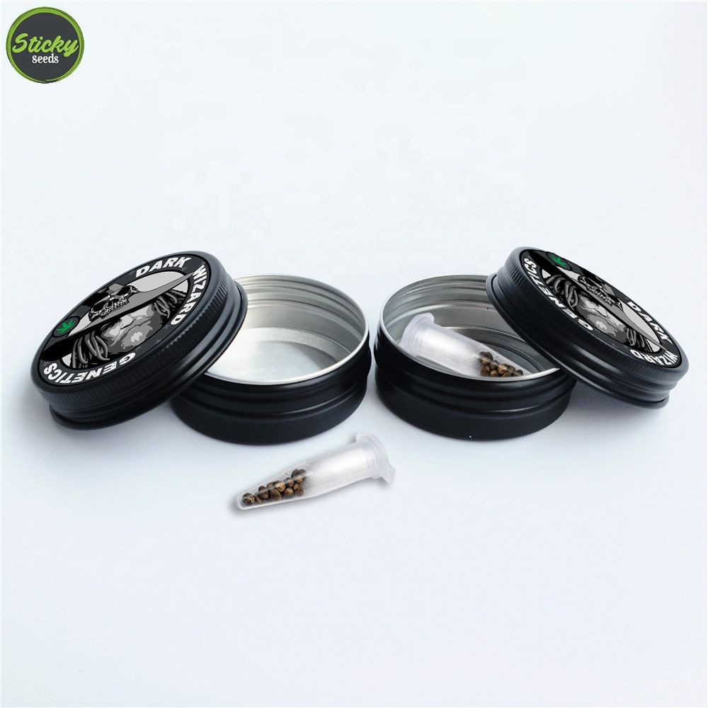 Purple Haze Feminized Seeds